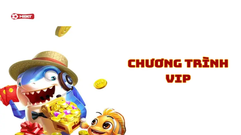 Chương trình VIP