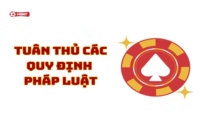 Tuân thủ các quy định pháp luật