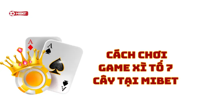 Khám phá chi tiết cách chơi game xì tố 7 cây tại Mibet